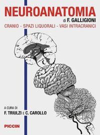 copertina di Neuroanatomia - Cranio, spazi liquorali, vasi intracranici