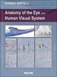 copertina di Anatomy of the Eye and Human Visual System