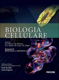 copertina di Biologia cellulare - Estratto da Elementi di biologia e genetica