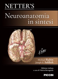 copertina di Netter ’s Neuroanatomia in sintesi