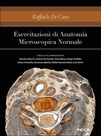 copertina di Esercitazioni di Anatomia Microscopica Normale