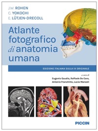 copertina di Atlante fotografico di anatomia umana