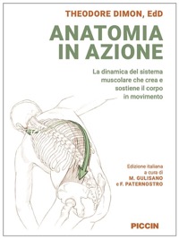 copertina di Anatomia in azione - La dinamica del sistema muscolare che crea e sostiene il corpo ...
