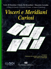 copertina di Visceri e meridiani curiosi