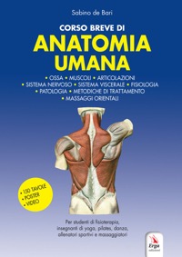 copertina di Corso breve di Anatomia Umana - Ossa, muscoli, articolazioni e integrazioni operative ...