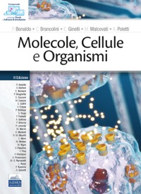 copertina di Molecole , Cellule e Organismi