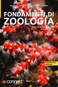 copertina di Fondamenti di zoologia ( contenuti online inclusi )