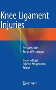 copertina di Knee Ligament Injuries - Extraarticular Surgical Techniques