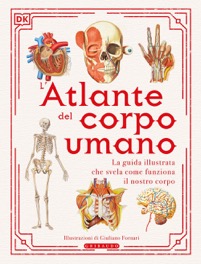 copertina di L' atlante del corpo umano - La guida illustrata che svela come funziona il nostro ...