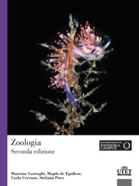 copertina di Zoologia