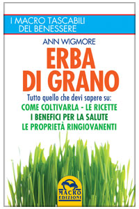 copertina di Erba di Grano - Tutto quello che devi sapere su: come coltivarla, le ricette, i benefici ...