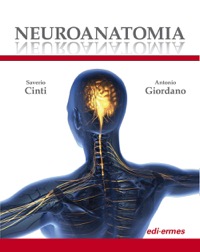 copertina di Neuroanatomia - Edizione llustrata
