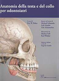 copertina di Anatomia della testa e del collo per odontoiatri