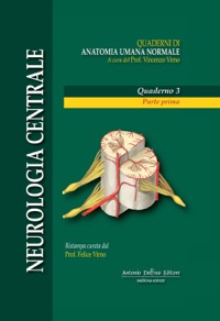 copertina di Neurologia centrale - Quaderni di Anatomia Umana Normale - Parte Prima