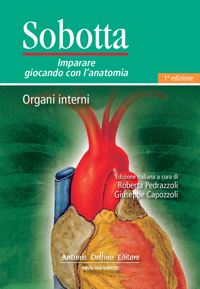 copertina di SOBOTTA Imparare giocando con l'anatomia Organi interni - Flash Cards