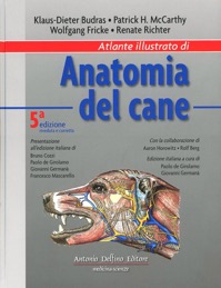 copertina di Atlante illustrato di Anatomia del cane