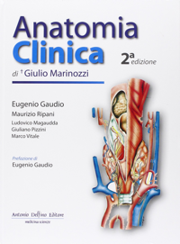 copertina di Anatomia clinica ( contenuti multimediali inclusi )