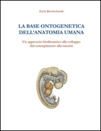 copertina di La base ontogenetica dell' anatomia umana - Un approccio biodinamico allo sviluppo ...