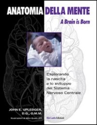 copertina di Anatomia della Mente - A brain is born - Esplorando la nascita e lo sviluppo del ...