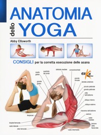 copertina di Anatomia dello yoga -  Consigli per la corretta esecuzione delle asana