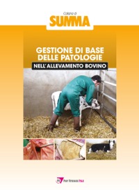 copertina di Gestione di base delle patologie nell' allevamento bovino