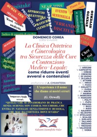 copertina di La Clinica ostetrica e Ginecologica tra sicurezza delle cure e contenzioso medico ...