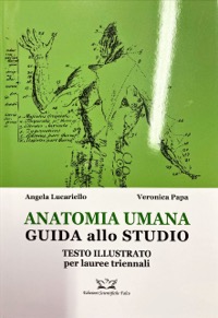 copertina di Anatomia umana - Guida allo studio - Testo illustrato per lauree triennali