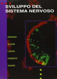 copertina di Neuroscienze: sviluppo del sisterma nervoso