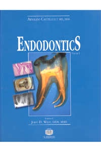 copertina di Endodontics - versione in lingua inglese - Volume 1