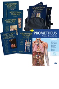 copertina di Trattato di Anatomia Umana Anastasi 2021 + Atlante di Anatomia Umana ( Anatomy Bag ...
