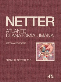 copertina di Netter : Atlante di Anatomia Umana ( Edizione 2022 . Formato Deluxe con Copertina ...