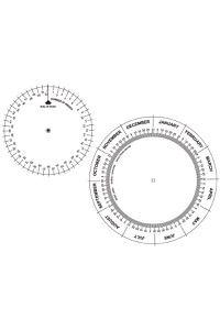 copertina di Disco gravidanza / gestazione