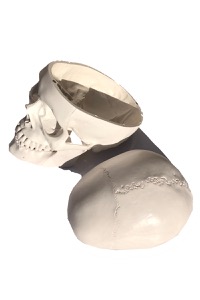 copertina di Modello cranio umano - dimensioni reali