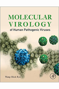 copertina di Molecular Virology of Human Pathogenic Viruses