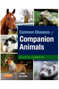 copertina di Common Diseases of Companion Animals