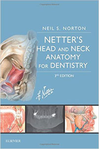 copertina di Netter' s Head and Neck Anatomy for Dentistry