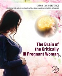 copertina di The Brain of the Critically Ill Pregnant Woman