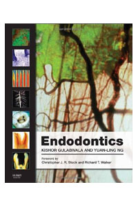 copertina di Endodontics