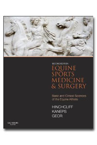 copertina di Equine Sports Medicine and Surgery