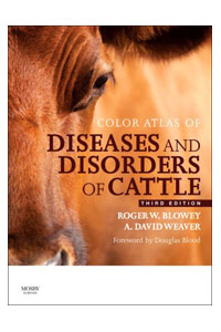copertina di Color Atlas of Diseases and Disorders of Cattle