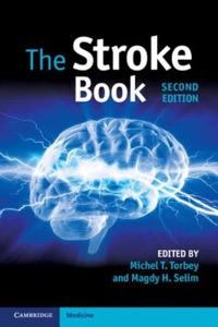 copertina di The Stroke Book