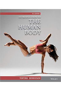 copertina di Introduction to the Human Body: The Essentials of Anatomy and Physiology