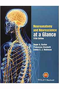 copertina di Neuroanatomy and Neuroscience at a Glance