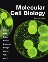 copertina di Molecular Cell Biology