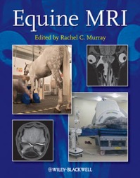 copertina di Equine MRI ( Magnetic resonance imaging )