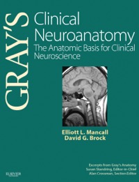 copertina di Gray' s Clinical Neuroanatomy - The Anatomic Basis for Clinical Neuroscience