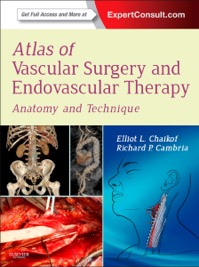 copertina di Atlas of Vascular Surgery and Endovascular Therapy - Anatomy and Technique ( Expert ...