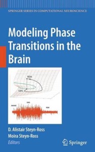 copertina di Modeling Phase Transitions in the Brain