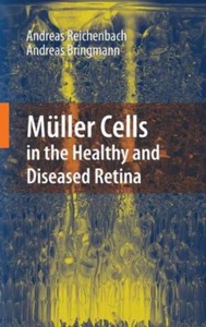 copertina di Muller Cells in the Healthy and Diseased Retina