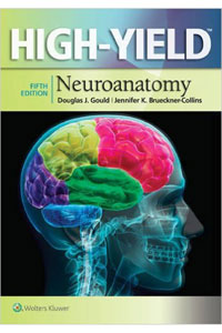 copertina di High - Yield Neuroanatomy